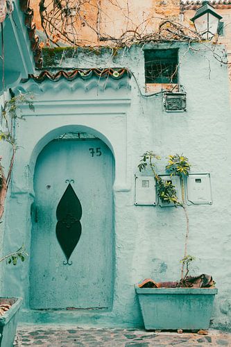 Little Maroccan door with plant van Iona Hogendoorn