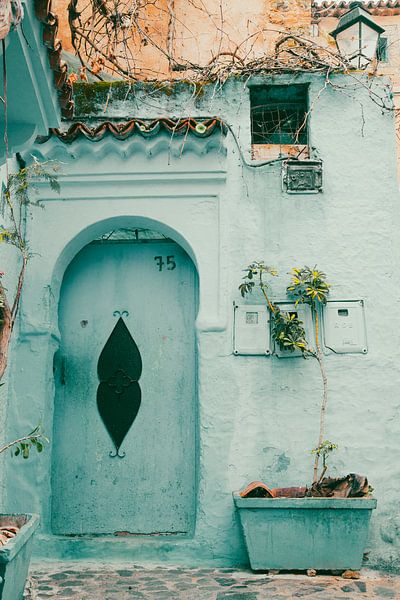 Petite porte marocaine avec plante par Iona Hogendoorn