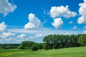 Landscape with field, trees and clouds van Rico Ködder