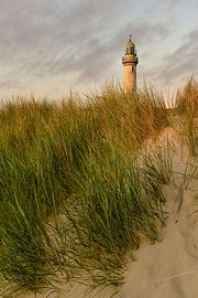 Leuchtturm in Warnemünde von David Mrosek