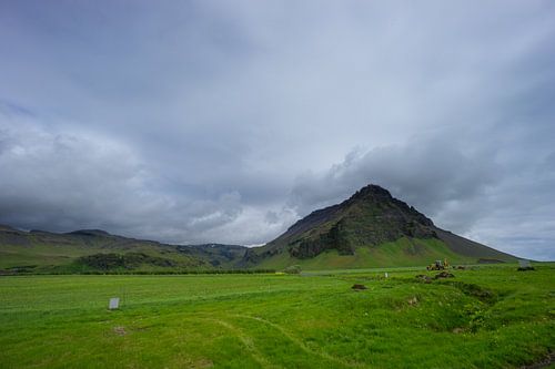 IJsland - Groene weide met baggerschip en berg
