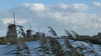 Windmills Kinderdijk by Gijs van Veldhuizen thumbnail