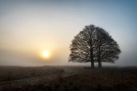 Mysterious sunrise Kampina