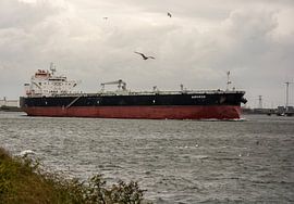 Ship underway to open sea in the port of Rotterdam. by scheepskijkerhavenfotografie