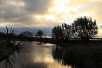 Zonsopkomst langs Nederrijn