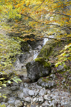 Waterval, watervallen, bergen, bergen, Alpen, natuurfotografie, landschapsfotografie, muurschildering, canvas, fine art print, natuur, wildernis, berglandschap, bergliefde, natuurfoto, alpenlandschap, outdoor, reislust, natuurparadijs, rivier, bron, natuurwonder, fotokunst, water, bergwater, alpenfoto, bergwereld, aders van de bergen, natuurkracht, vrede, energie, bergfotografie