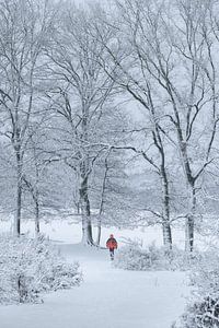 Den Schnee genießen