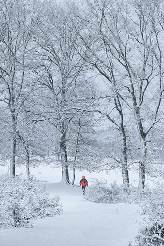 Genieten van de sneeuw van Moetwil en van Dijk - Fotografie