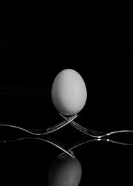 Im Gleichgewicht. von SO fotografie