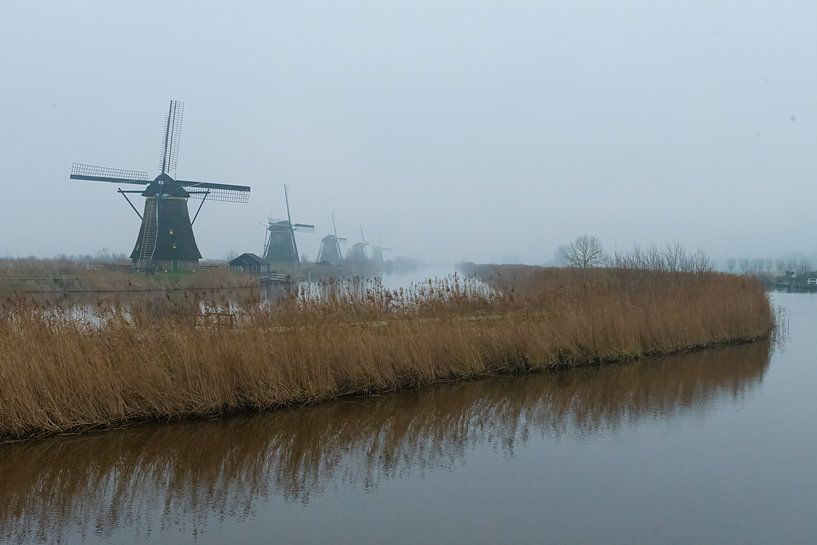 Kinderdijk Windmühle im Nebel von Merijn Loch