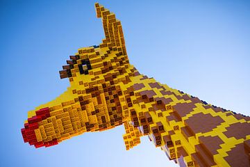 Lego Duplo Giraffe van Edwin Boer