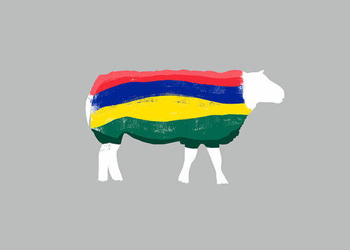 Terschelling-Schaf