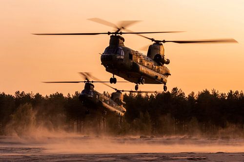 Zwei Chinook-Transporthubschrauber bei der Arbeit bei Sonnenuntergang