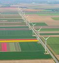 Luftaufnahme von Windkraftanlagen in Flevoland, die zwischen verschiedenen Farben des Tulpenblütenfe von Sjoerd van der Wal Fotografie Miniaturansicht