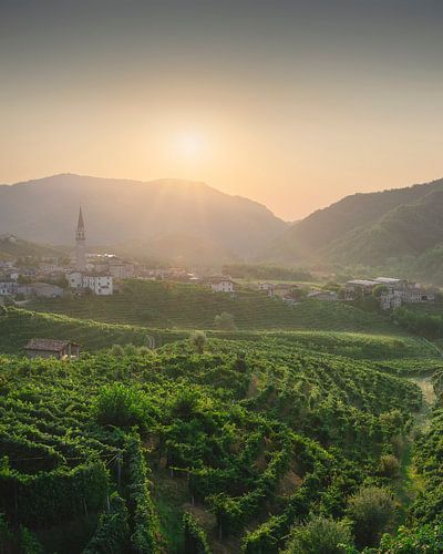 Prosecco heuvels, wijngaarden en Guia dorp bij zonsopgang