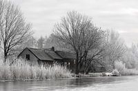 Winter tafereel langs de boezem in Groot Ammers