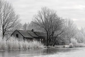 Winter tafereel langs de boezem in Groot Ammers
