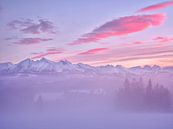Pinky Rosa Mountains, Rafal R. Nebelski von 1x Miniaturansicht