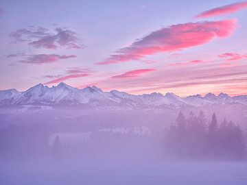 Pinky Rosa Mountains, Rafal R. Nebelski von 1x