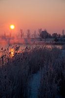 Zonsopgang