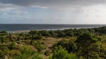 Vue sur la mer des Wadden depuis le Vuurboetsduin