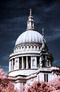 Die Kuppel der St. Paul's Cathedral, London von Helga Novelli Miniaturansicht