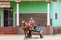 Horse and carriage - Granada