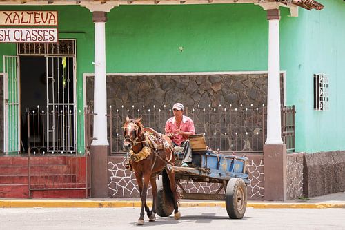 Horse and carriage - Granada