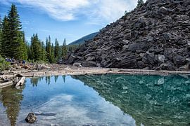 Lake Moraine with logs
