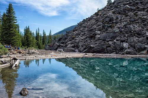 Le lac Moraine avec des  bûches
