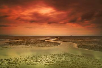 Sonnenuntergang bei Ebbe im Wattenmeer von Frank Herrmann