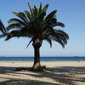 Strand von Ibiza. von Yvonne Stroomberg