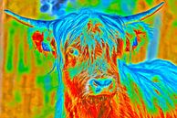 Kleurig portret van een Schotse Hooglander van Ans Bastiaanssen thumbnail
