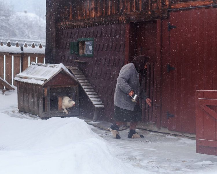 Ohne Titel von Marina Sveduneac