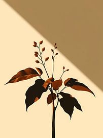 Kontrastreiche dunkle Pflanze