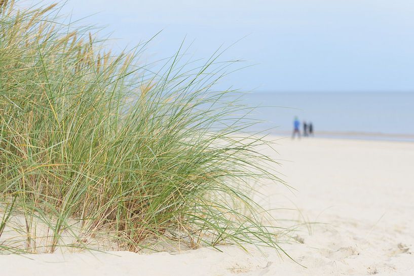 Beach near Swinoujscie on the island of Usedom on the Polish Baltic Sea coast by Heiko Kueverling