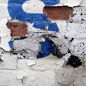 S. sur JRobert Photography