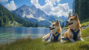 Akita Hunde und Berge im Gras künstlerisches Panorama
