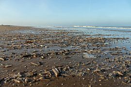 Shells on the beach by Marguérite Sea you later Fotografie