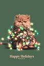 Happy Holidays from the cat by Jonas Loose thumbnail