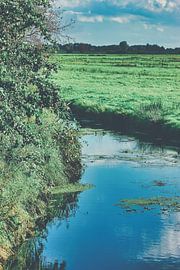 Fin de l'été en Basse-Saxe sur stewic_