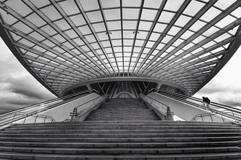Canopy I
