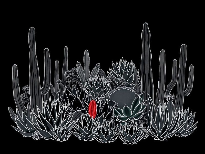 Fleur cramoisie dans la nuit du désert : Jardin de cactus monochromatique avec un cœur rouge frappant par Artistic