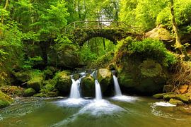 Fairyland by Thomas Herzog