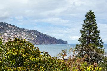 Gezicht op Funchal op het eiland Madeira, Portugal van Rico Ködder