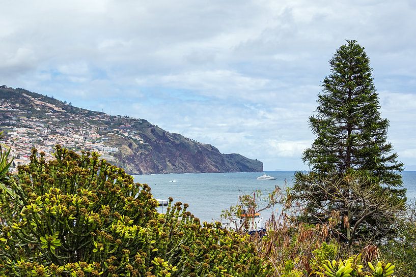 Vue de Funchal sur l'île de Madère, Portugal par Rico Ködder