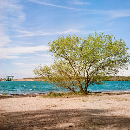 Aan het Epplesee – De luchtigheid van de zomer