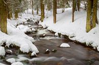 Winter im Bayrischen Wald von Dirk Rüter Miniaturansicht