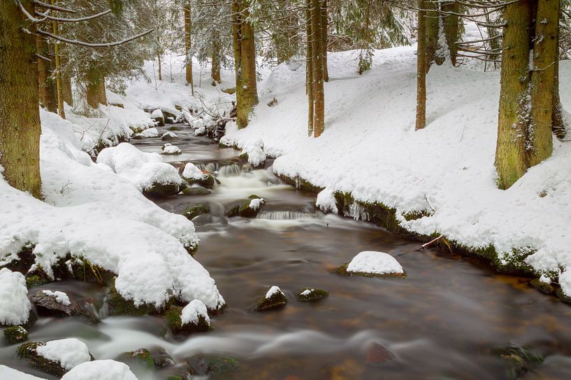 Winter im Bayrischen Wald von Dirk Rüter