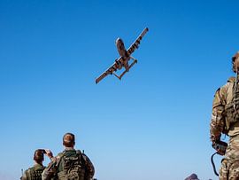 A10 macht einen Vorbeiflug von Vincent Bottema